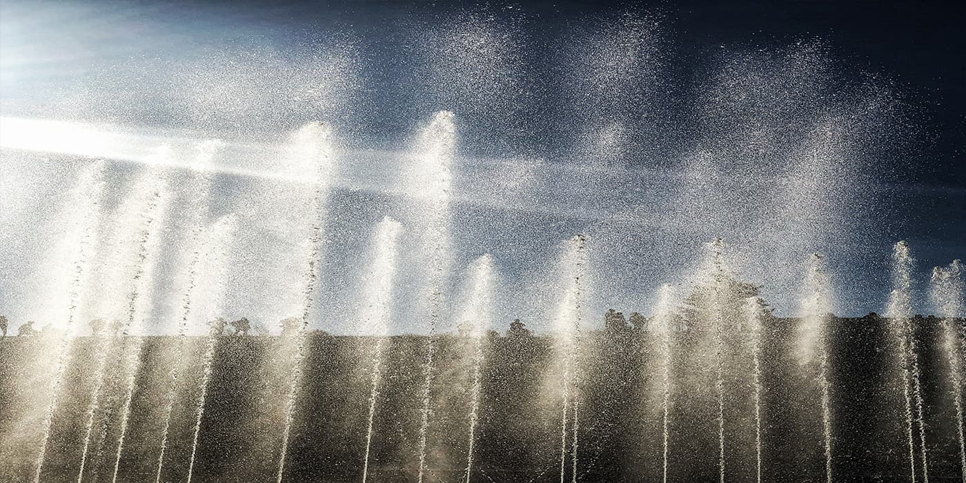 Vorstand und Kuratorium - connect.IT